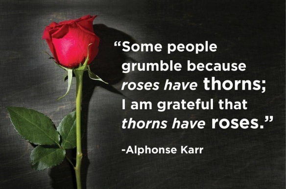INSP roses thorns