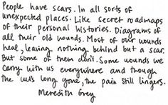 BLOG meredith scars